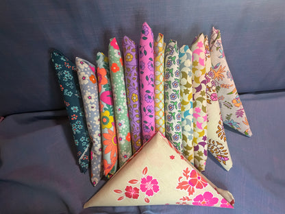 Petit Pan Fat Quarter Bundle